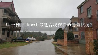 哪一种牛 breed 最适合现在养的健康状况?