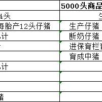 建设一个年产5000头的猪场，需要多大地方，需要多少钱？,第2图