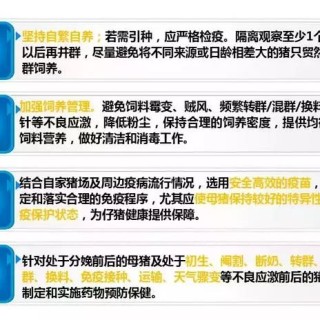 猪呼吸道高发季，这几个点你需要了解！,第4图