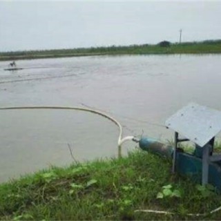 梅雨季节养殖塘该怎么管理,第2图