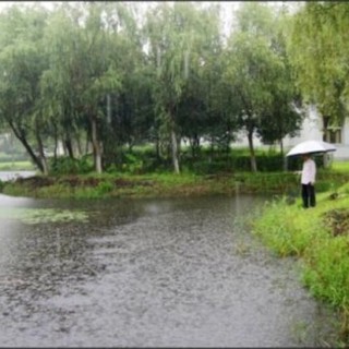 梅雨季节养殖塘该怎么管理,第3图