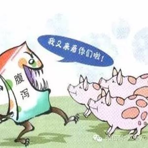 当你的猪呕吐了，你首先想到的是？,第5图