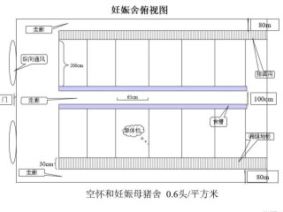 200头能繁母猪养猪场的总体设计规划方案,第4图