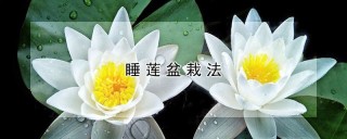 睡莲盆栽法,第1图