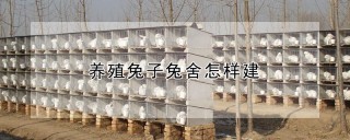 养殖兔子兔舍怎样建,第1图