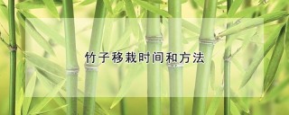 竹子移栽时间和方法,第1图