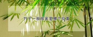 竹子一般放家里哪个位置,第1图