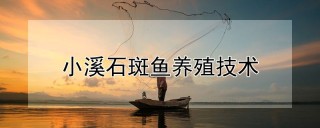 小溪石斑鱼养殖技术,第1图