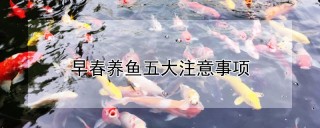 早春养鱼五大注意事项,第1图