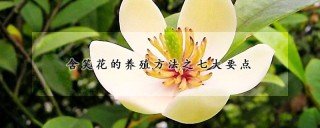 含笑花的养殖方法之七大要点,第1图