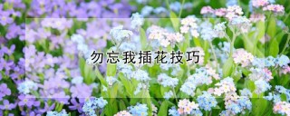 勿忘我插花技巧,第1图