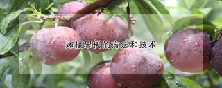 嫁接果树的方法和技术,第1图