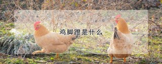 鸡脚蹬是什么,第1图