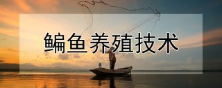 鳊鱼养殖技术,第1图