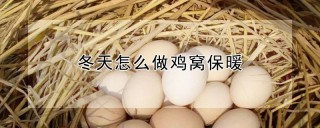 冬天怎么做鸡窝保暖,第1图