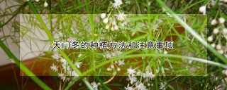 天门冬的种植方法和注意事项,第1图