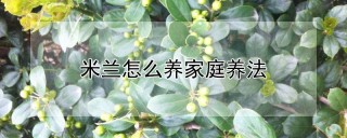 米兰怎么养家庭养法,第1图