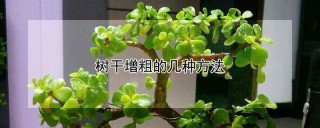 树干增粗的几种方法,第1图