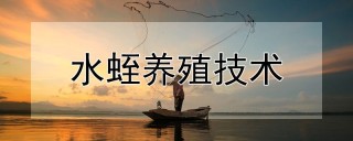 水蛭养殖技术,第1图