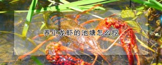 养小龙虾的池塘怎么挖,第1图