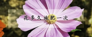 花多久施肥一次,第1图