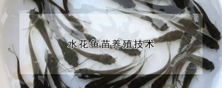 水花鱼苗养殖技术,第1图