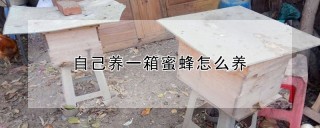 自己养一箱蜜蜂怎么养,第1图