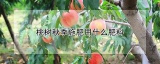 桃树秋季施肥用什么肥料,第1图