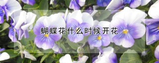 蝴蝶花什么时候开花,第1图