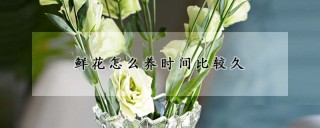 鲜花怎么养时间比较久,第1图