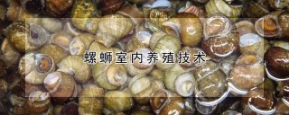 螺蛳室内养殖技术,第1图