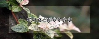 花叶络石耐寒多少度,第1图