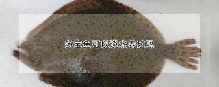 多宝鱼可以淡水养殖吗,第1图