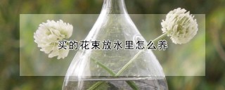 买的花束放水里怎么养,第1图