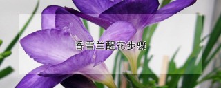 香雪兰醒花步骤,第1图