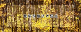 杨树种植技术要点,第1图