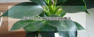 绿公主的养殖方法和注意事项,第1图