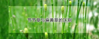 节节草与麻黄草的区别,第1图