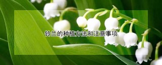 铃兰的种植方法和注意事项,第1图