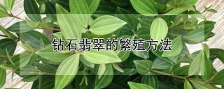 钻石翡翠的繁殖方法,第1图