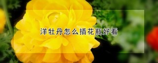 洋牡丹怎么插花瓶好看,第1图