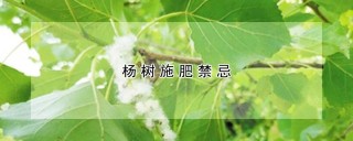 杨树施肥禁忌,第1图