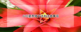 小红星养殖方法和注意事项,第1图