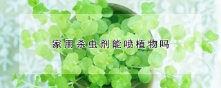 家用杀虫剂能喷植物吗,第1图