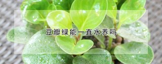 豆瓣绿能一直水养吗,第1图