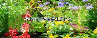 学校花草种植要注意什么,第1图