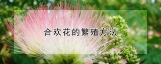 合欢花的繁殖方法,第1图