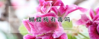 蝴蝶梅有毒吗,第1图