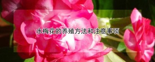 水梅花的养殖方法和注意事项,第1图