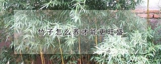 竹子怎么养才能更旺盛,第1图